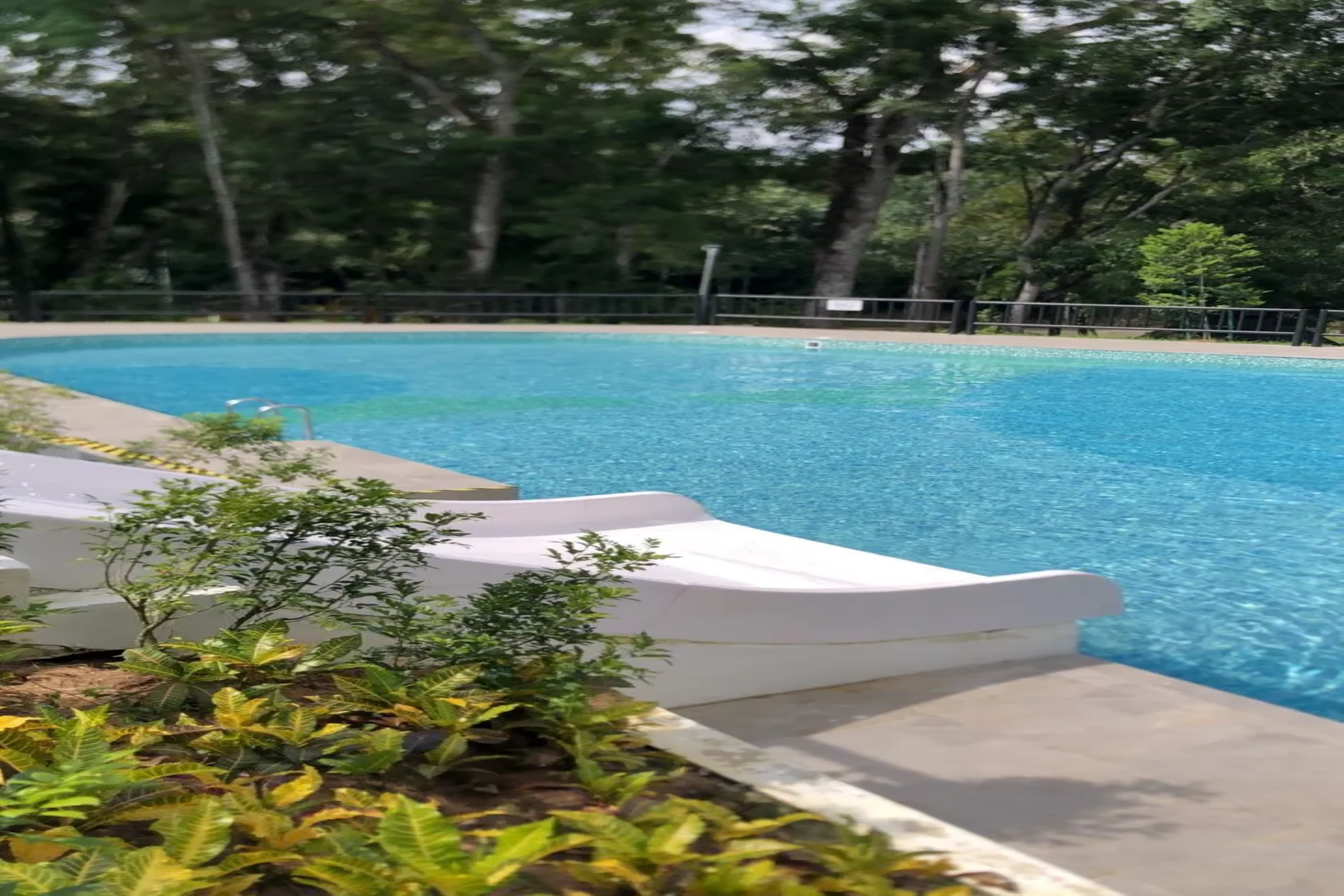 Pool Renovation